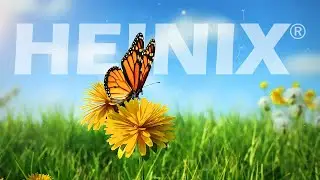 Heinix&reg;, Just siks - Heinix | 3D Arts