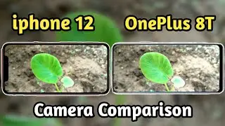 iphone 12 VS OnePlus 8T Camera Comparison | iphone 12 Camera Review | OnePlus 8T Camera Review | 🔥🔥