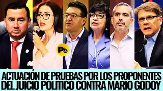 Continuación. Comparecencia de los proponentes Viviana Velóz, y parte cuestionada Mario Godoy
