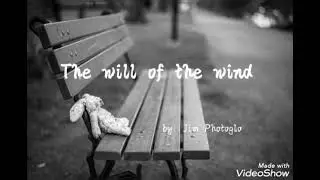 The will of the wind by Jim Photoglow