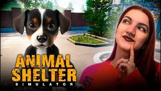 СПАСЛИ ПЕРВУЮ СОБАКУ! МОЙ ПРИЮТ НАЧИНАЕТ РАБОТУ ► Animal Shelter Simulator #2