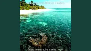 Amazing Music for Spa Therapy