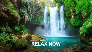 LIVE 24/7 🌿 Relaxing Nature Sounds with Piano Music for Study, Focus & Calm Mind
