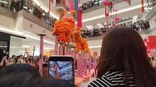 lion dance performance at the Garden mall 2026 February 谷中城花园广场精彩的舞狮表演还有抛柑抛马年娃娃大家旺旺