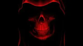 Ginseng - the Virus and Antidote 「AMV」x [Hellsing Ultimate]