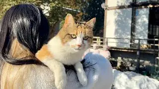おねえちゃんと猫のミー子