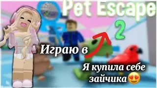 Играю В Pet Escape 2,Я Купила Зайчика🐰#blookhaven #роблокс #roblox