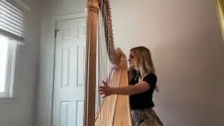 Wagner: Magic Fire Music Harp Excerpt