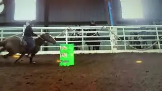 Willy Be A Frenchman - 1st entry - Hilltop Arena - 12/1/18