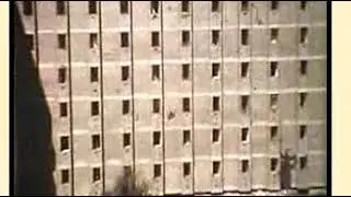 1978