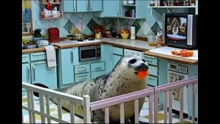 Тюленьи будни 3 серия 