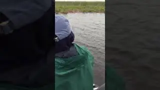 MY PERSONAL BEST BASS