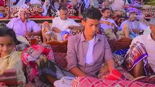 المنشد/محمد ناصر هليل - أفراح آل أفلح - زواج العريسين الغاليين عبدالرحمن وحسان ـ الزريبة