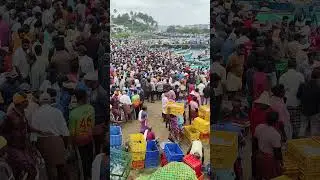 22/07/2025 morning 8.00 am💥vizhinjam fish market #vizhinjam #fishing