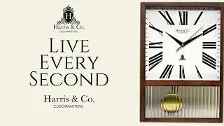 Harris Google Ad Video 2.mp4