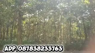 Tanah di Jual Pinggir Aspal,Di Gunungkidul 