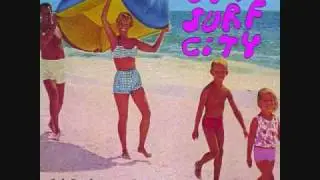 Sonic Surf City - Flamingo