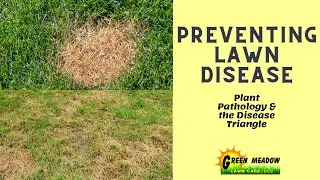 Preventing Lawn Diseases - The Disease Triangle