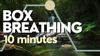 Box Breathing Exercise 5-5-5-5 | 10 Minute