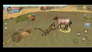Wildcraft | Tiger 🐅 defeat clan bosses