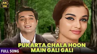 Pukarta Chala Hoon Main 💔 | Mere Sanam | Mohammed Rafi | Asha Parekh, Biswajit Chatterjee | 4K Song