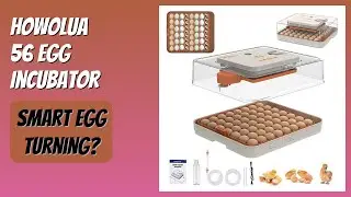 REVIEW (2025): HOWOlUA 56 Egg Incubator. Features