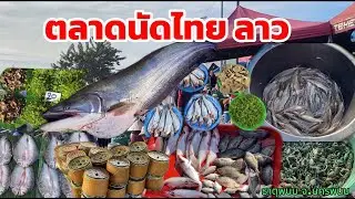 ตลาดนัดไทยลาว 20 พย 68 อาหารพื้นบ้าน อาหารตามฤดูกาล ของกินอีสานบ้านเฮา #ตลาดนัดไทยลาว #localmarket