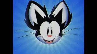 #jasperthecatdebutwork Homemade work for Jasper the Cat's debut and first short film (Teaser intro)