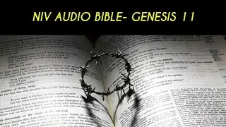 GENESIS 11 NIV AUDIO BIBLE (with text)