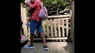 Bushkill Falls