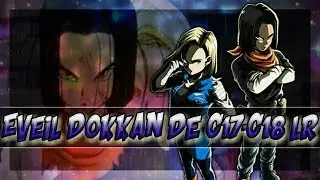 Fin Farm LR C17 - 18 / Dokkan en live ce soir ;-)