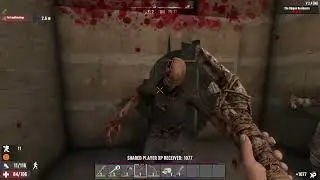 This Bites