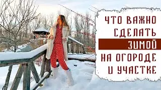 ВАЖНЫЕ РАБОТЫ ЗИМОЙ НА ОГОРОДЕ И УЧАСТКЕ. ЭТО НУЖНО СДЕЛАТЬ ОБЯЗАТЕЛЬНО!