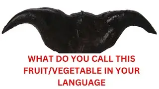 Intro to China/ Devil  pod or Mustache Nut Fruit or Vegetable