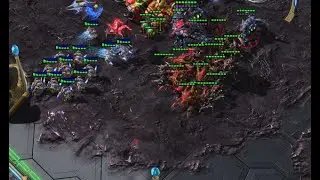 StarCarft 2 POV #38 - PvZ 9 gate chargelot all-in from a stargate opener