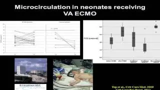 MONITORING THE MICROCIRCULATION   A Top  10 10 2013