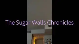 The Sugar Walls Chronicles S2 FEB 28 MAY 1 & 2