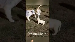 Mother dog protecting her cubs🐕🤪