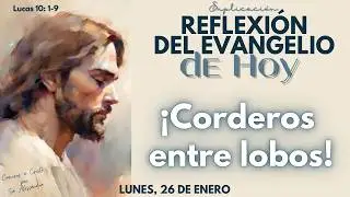 Reflexi&oacute;n del Evangelio de Hoy 26/01/2026 | &iexcl;Corderos entre lobos!