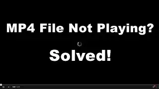 Can&rsquo;t Play MP4 on Windows? Why & How to Fix
