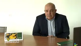 Ouă de găină #roadelepamantului