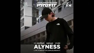 DJ.ru Радио-шоу: Profit &mdash; Bassland Show @ DFM (23.11.2022) - Guest mix Alyness