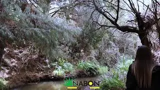 Cant&oacute;n Nab&oacute;n