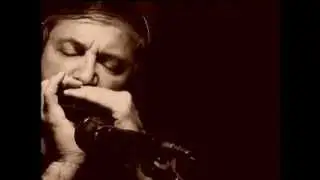 Eine kleine Nachtmusik (W A Mozart) - Harmonica