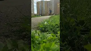 Солнечная катка на самокате 🤩 Scooter's ride in sunshine