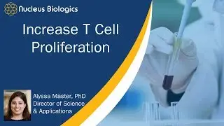 Increase T Cell Proliferation