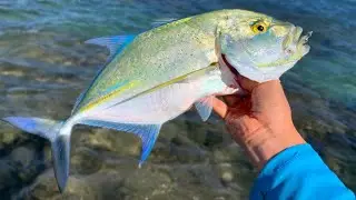 Colton's Homemade Flies!  //  First fish on the fly