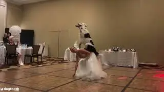 AGT Finalists Sara Carson & Hero's Special Dance Routine For Her Wedding Day  || Kennedy News