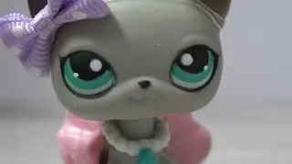 New LPS Vinted 4