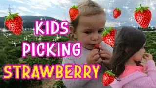 Fun Strawberry Picking Adventure: Kids Explore a Berry Farm! | Family Vlog